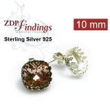 10mm 4470 European Crystals Post Earrings, Choose your options